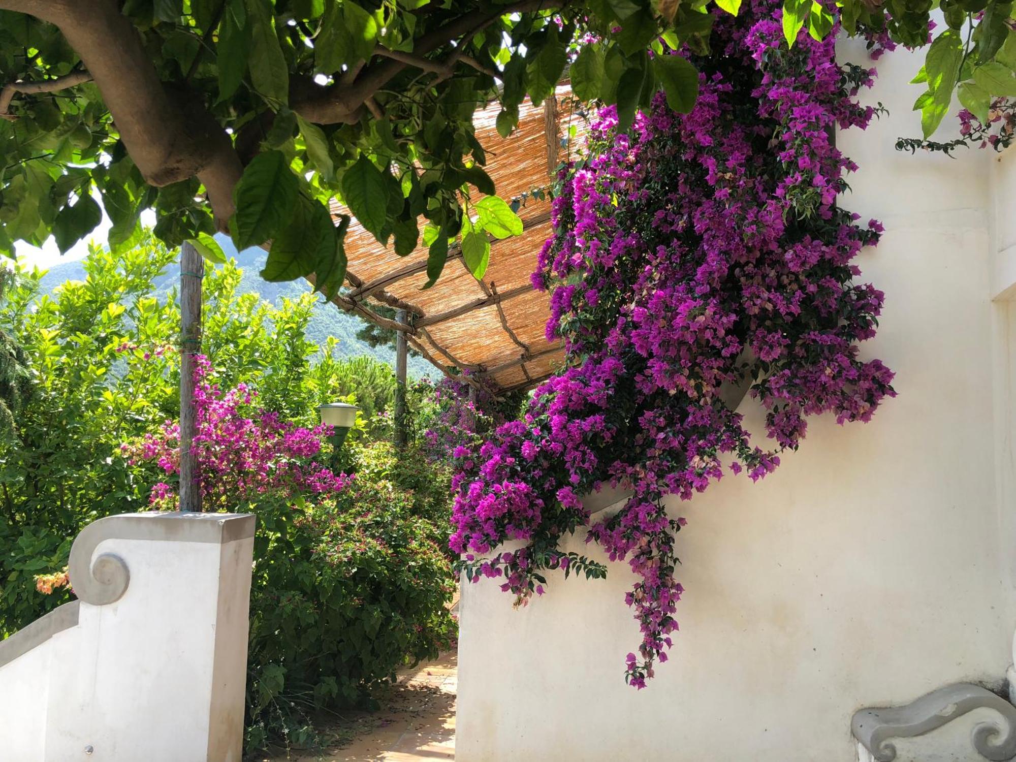 Casa Flora Vietri Exterior foto